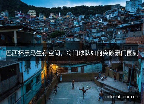 巴西杯黑马生存空间,冷门球队如何突破豪门围剿 巴西杯黑马生存空间,冷门球队如何突破豪门围剿